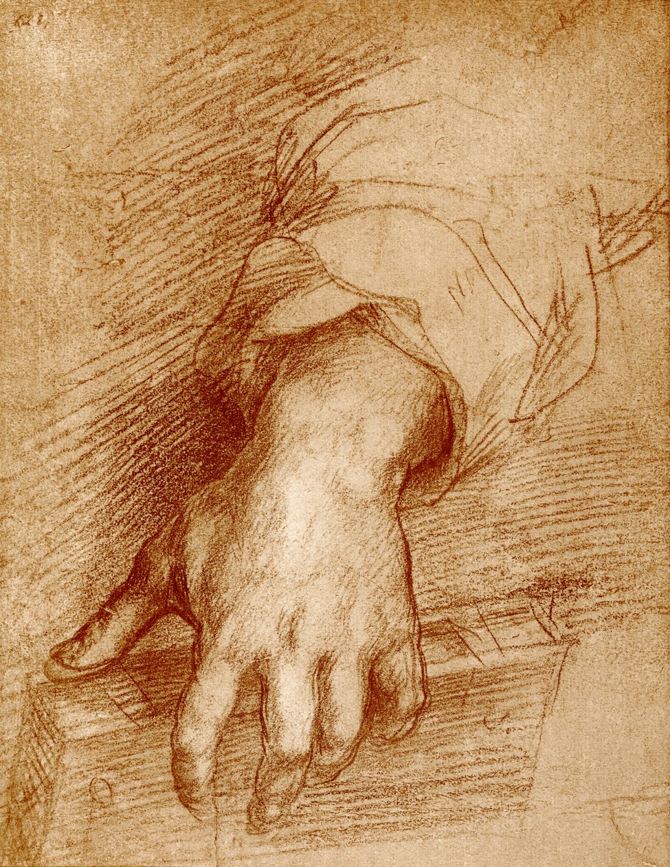 Madonna kéz könyvvel alkotó: Andrea del Sarto