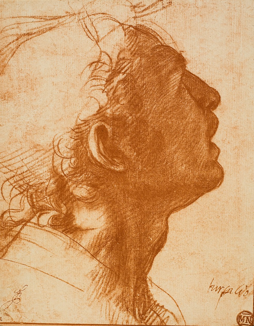 Férfi fej alkotó: Andrea del Sarto