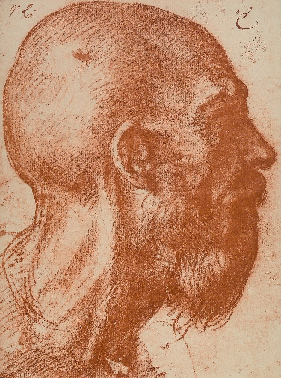 Férfi feje profilban alkotó: Andrea del Sarto