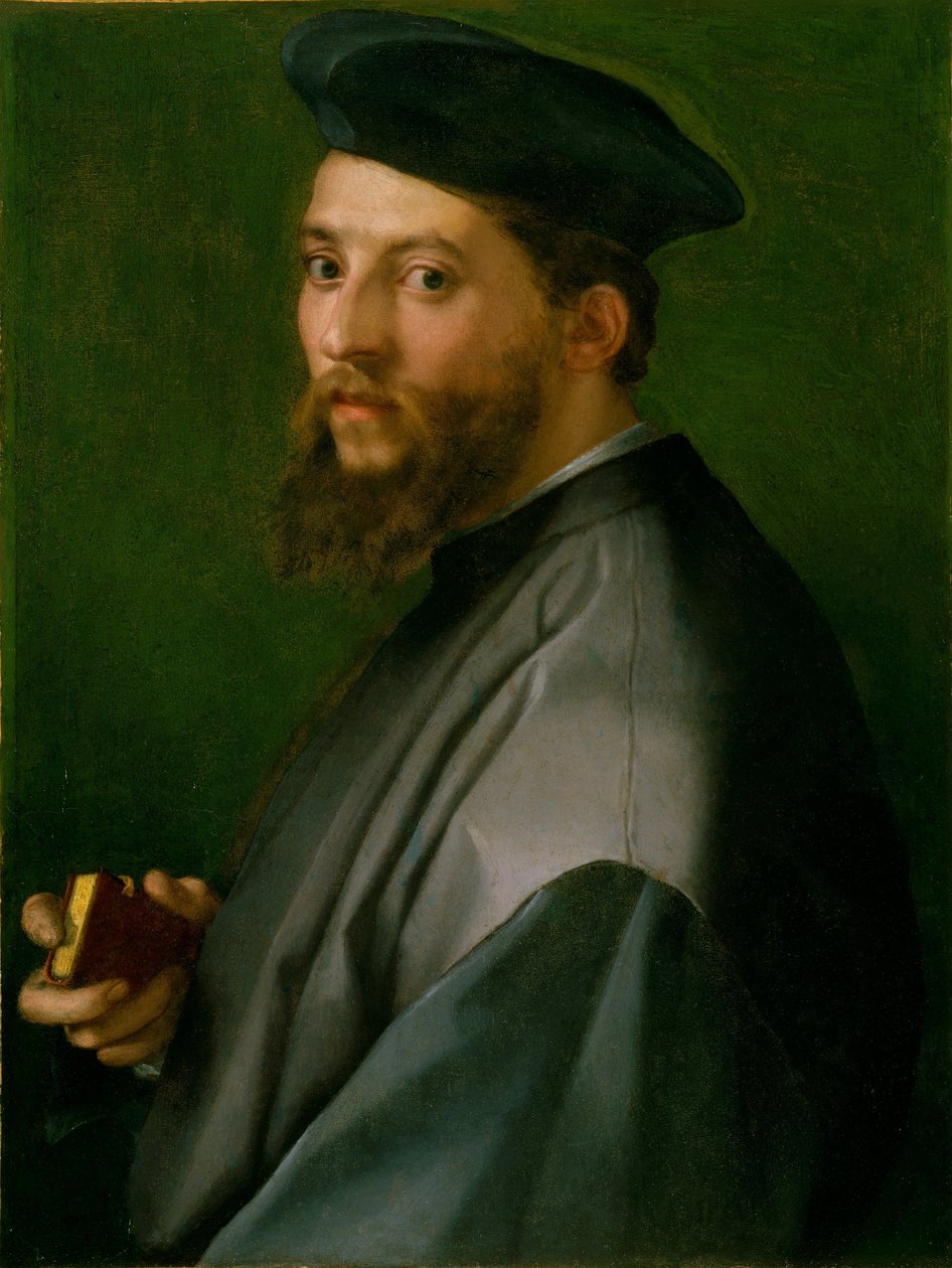 Egy férfi portréja alkotó: Andrea del Sarto