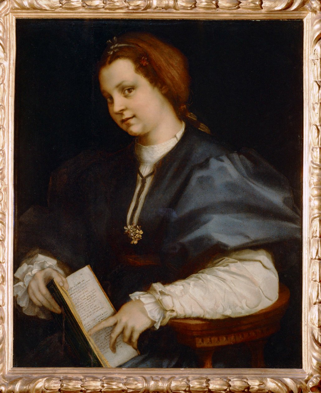 Egy lány portréja a Petrarca-versek kis kiadásával, Petrarca verseivel (fára festett kép) alkotó: Andrea del Sarto