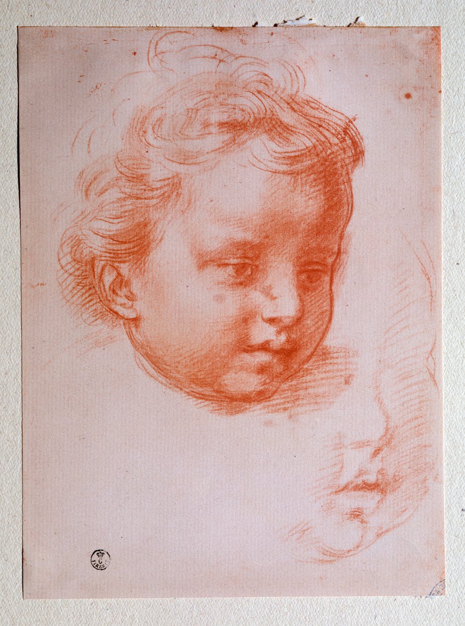 Putto feje (rajz alkotó: Andrea del Sarto