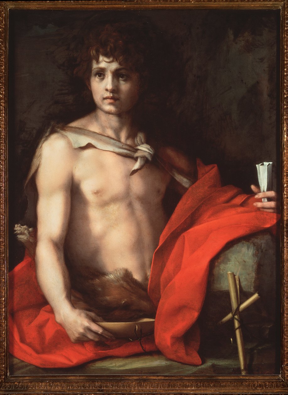 Keresztelő Szent János (festmény alkotó: Andrea del Sarto