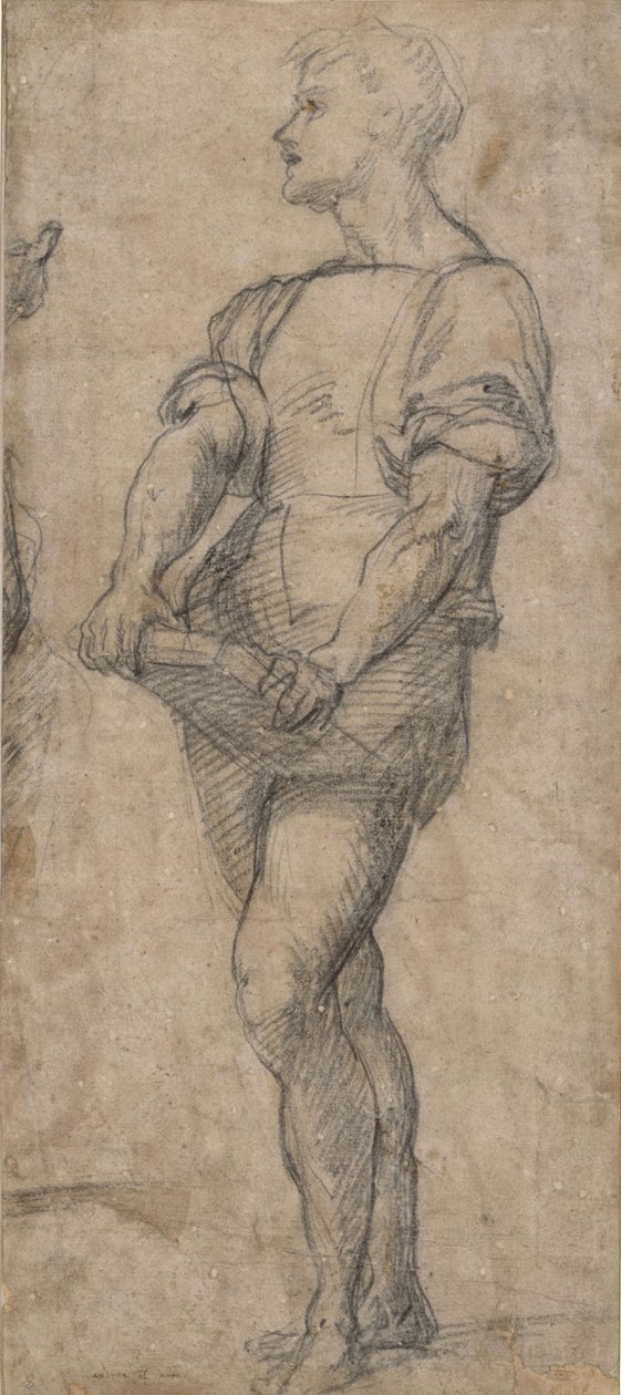 Álló fiatalság könyvet tartva, 1515 körül alkotó: Andrea del Sarto