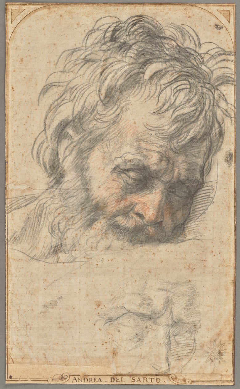 Tanulmány Szent József fejéhez (recto); két tanulmány lábakról (verso) alkotó: Andrea del Sarto