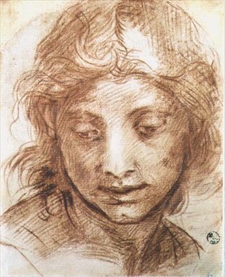 Tanulmányozás egy fiatal nő fejéről (kréta) alkotó: Andrea del Sarto