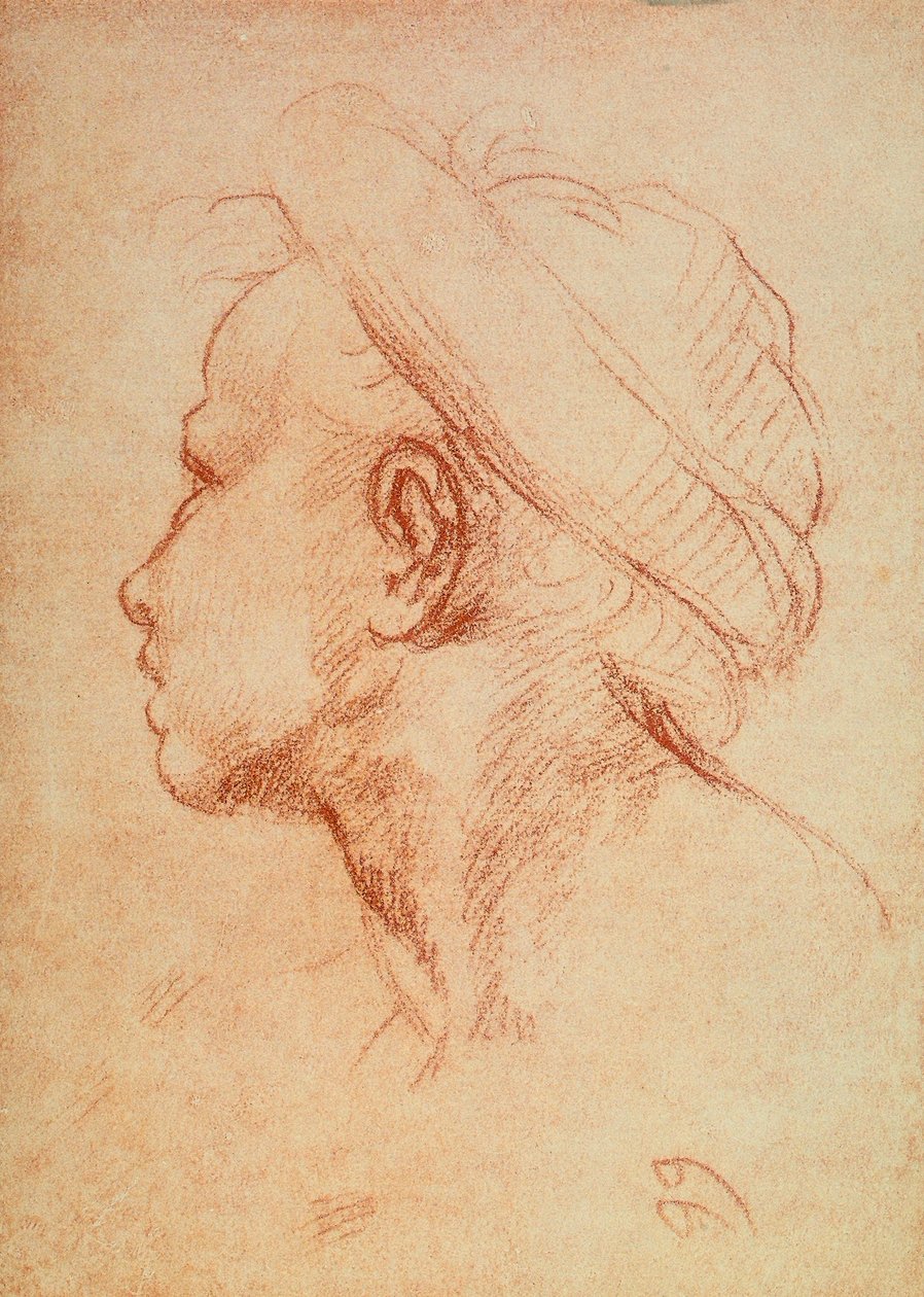 Fiatalok feje profilban alkotó: Andrea del Sarto
