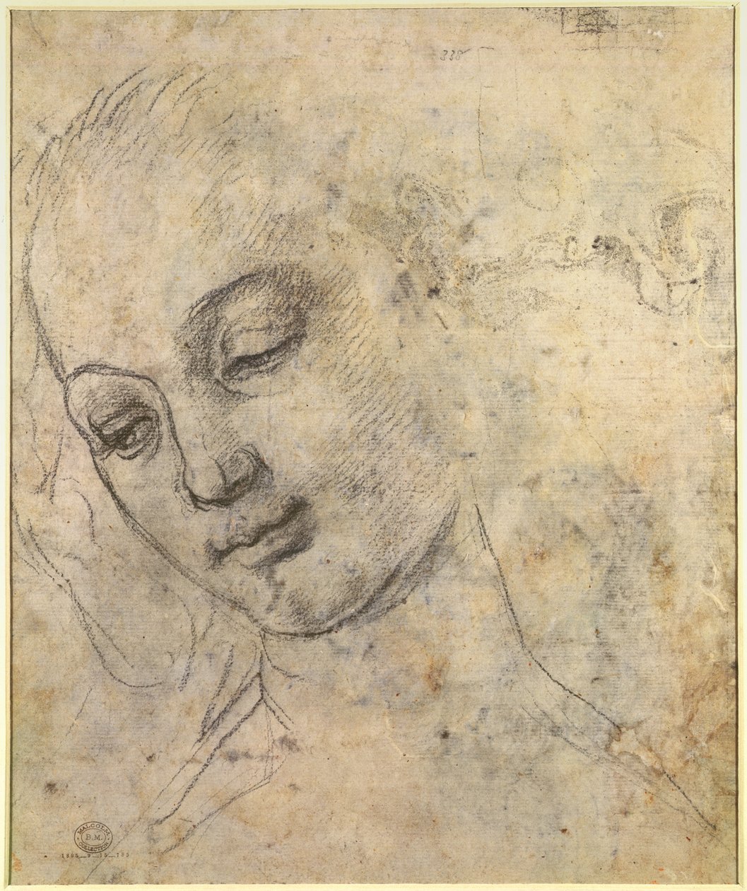 Női fej portréja (fekete kréta papíron) alkotó: Andrea del Verrocchio