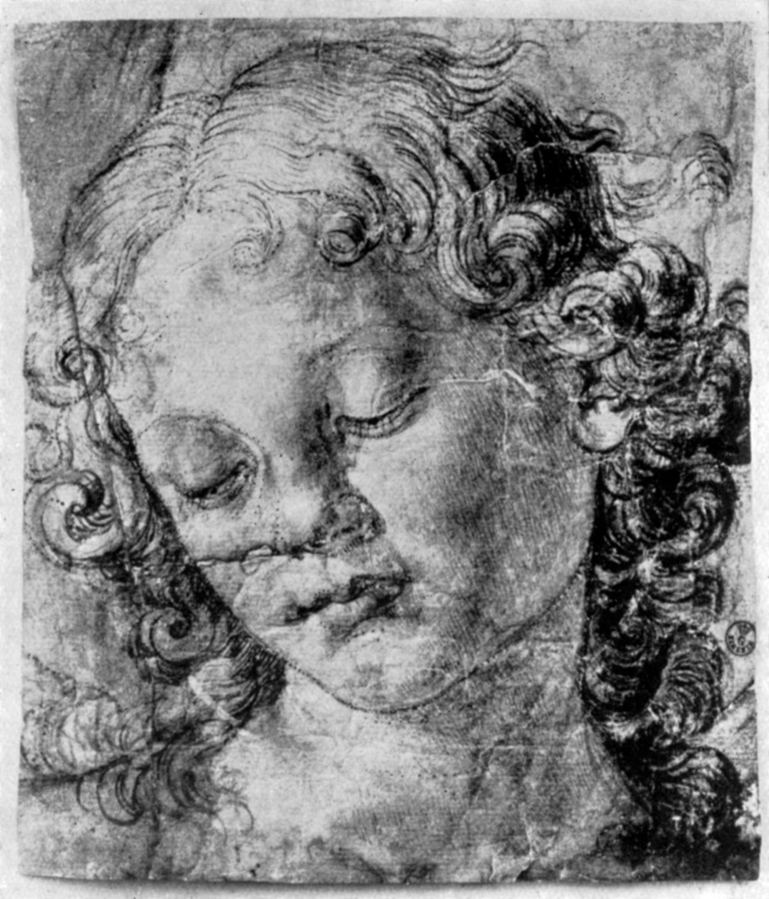 Az angyal feje, 1930. évi XV. alkotó: Andrea del Verrocchio