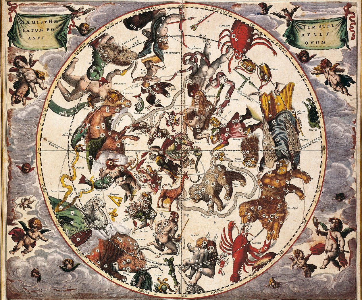Cellarius, Andreas (1596-1665). Égi atlasz vagy makrokozmikus harmónia. 1661. Fol 24. Ősi csillagos félgömb boreális. Az északi félteke ábrázolása. Nyomtatta Amszterdamban Johannes Janssoniusnál. Kora modern kor Metszés. SPANYOLORSZÁG C alkotó: Andreas Cellarius