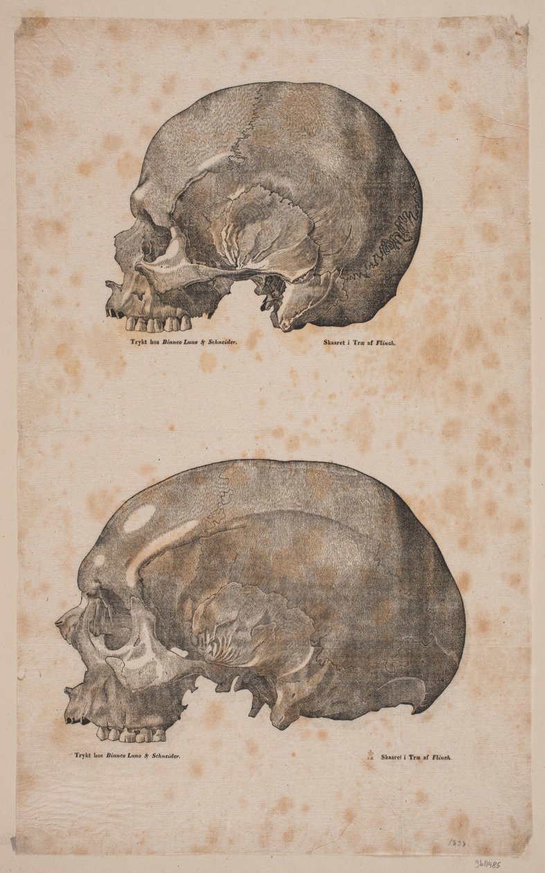 A Cranier alkotó: Andreas Flinch