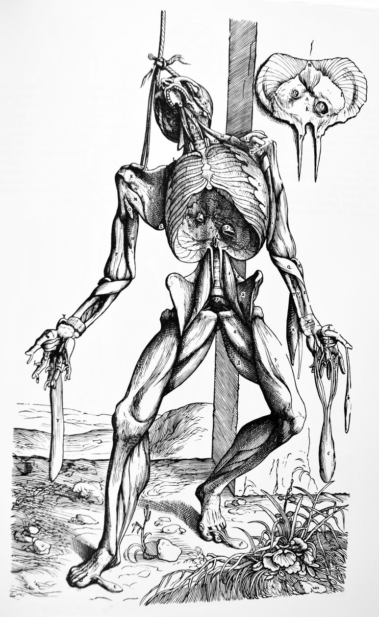 A tányérok a De Humani Corporis Fabrica második könyvéből alkotó: Andreas Vesalius