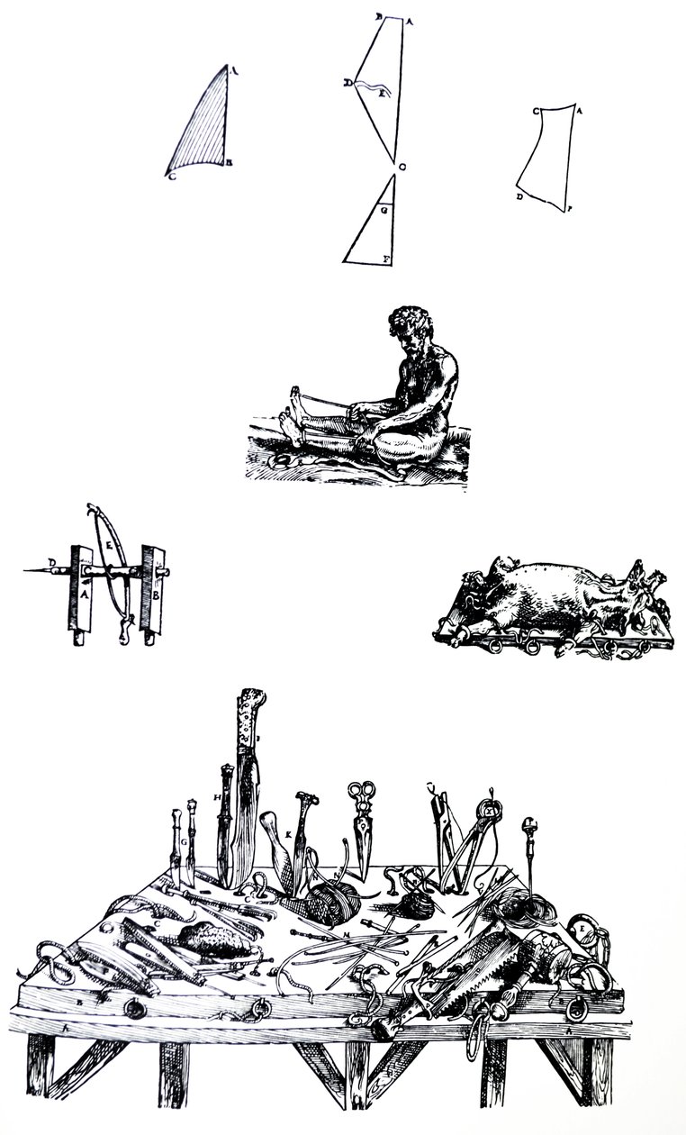A tányérok a De Humani Corporis Fabrica második könyvéből alkotó: Andreas Vesalius