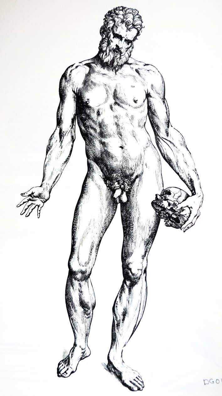 A tányérok a De Humani Corporis Fabrica hetedik könyvéből alkotó: Andreas Vesalius