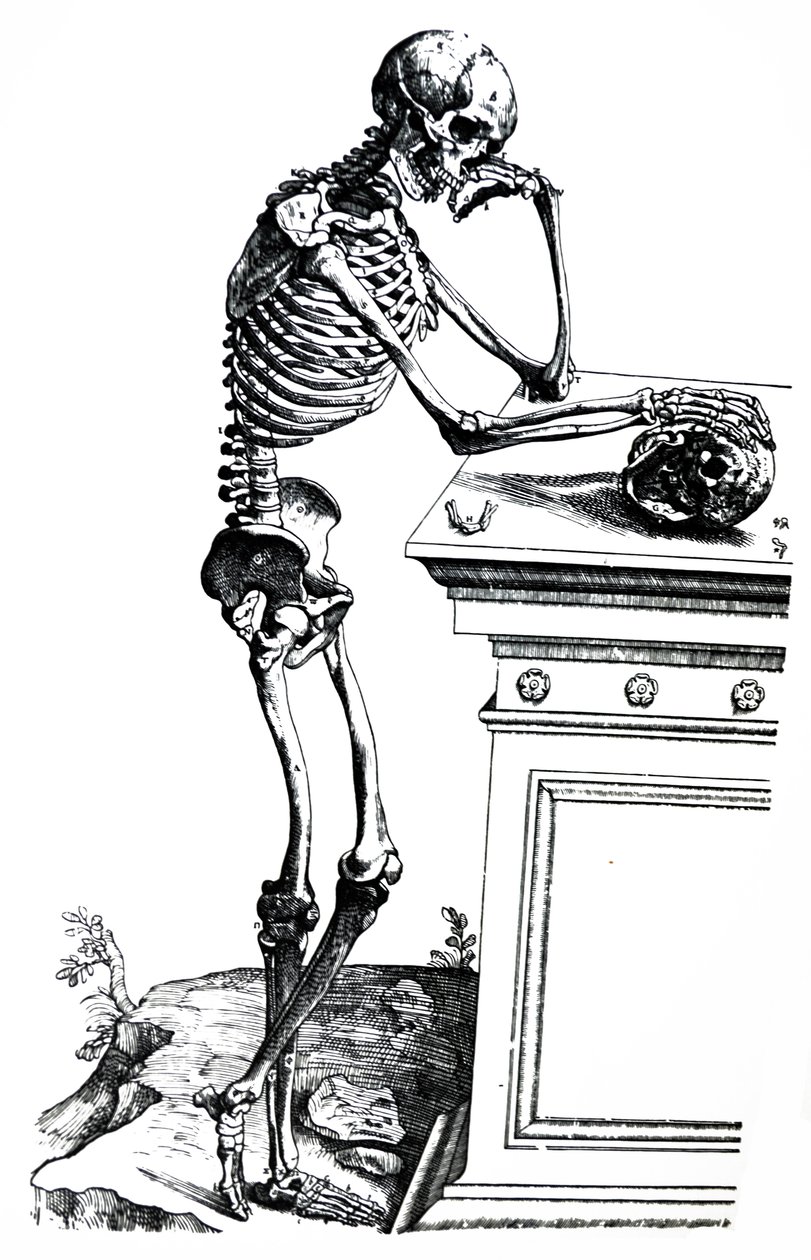 A tányérok a De Humani Corporis Fabrica hetedik könyvéből alkotó: Andreas Vesalius
