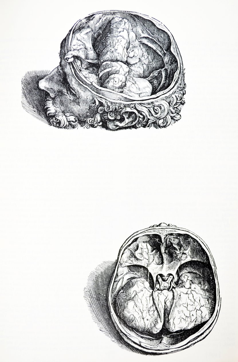 A De Humani Corporis Fabrica hetedik könyvének táblái alkotó: Andreas Vesalius