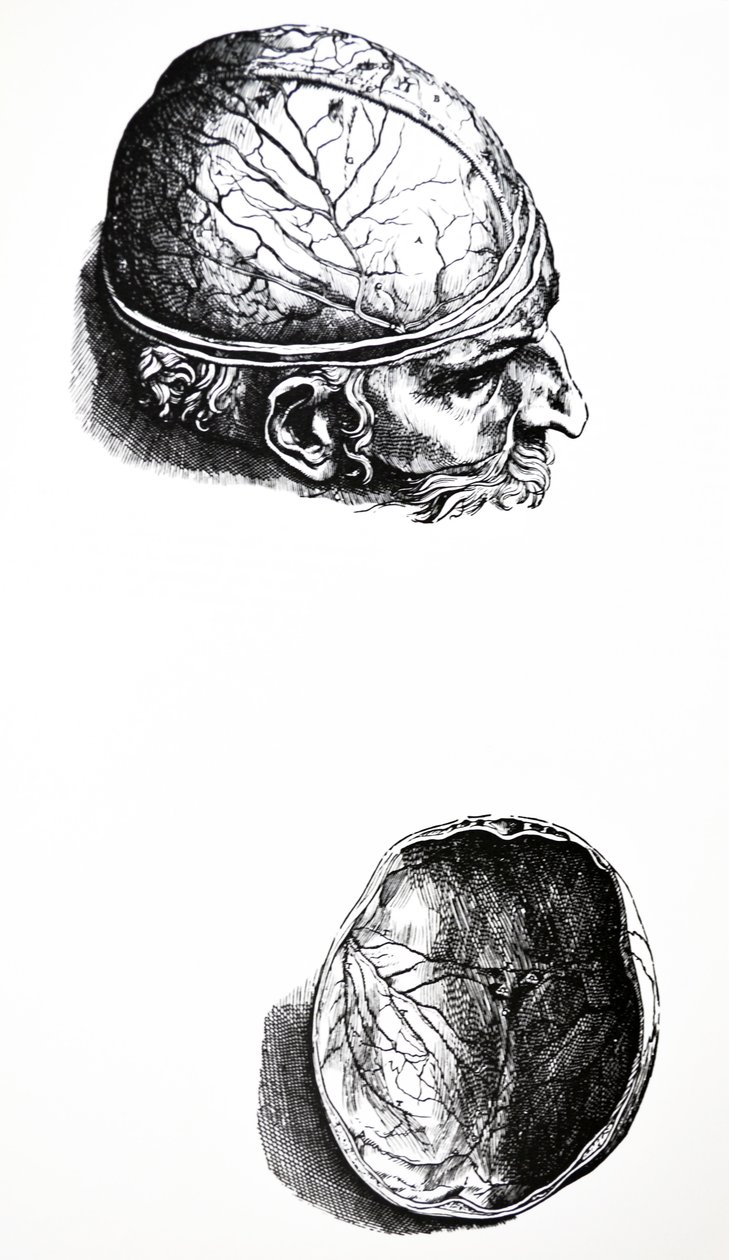 A De Humani Corporis Fabrica hetedik könyvének táblái alkotó: Andreas Vesalius