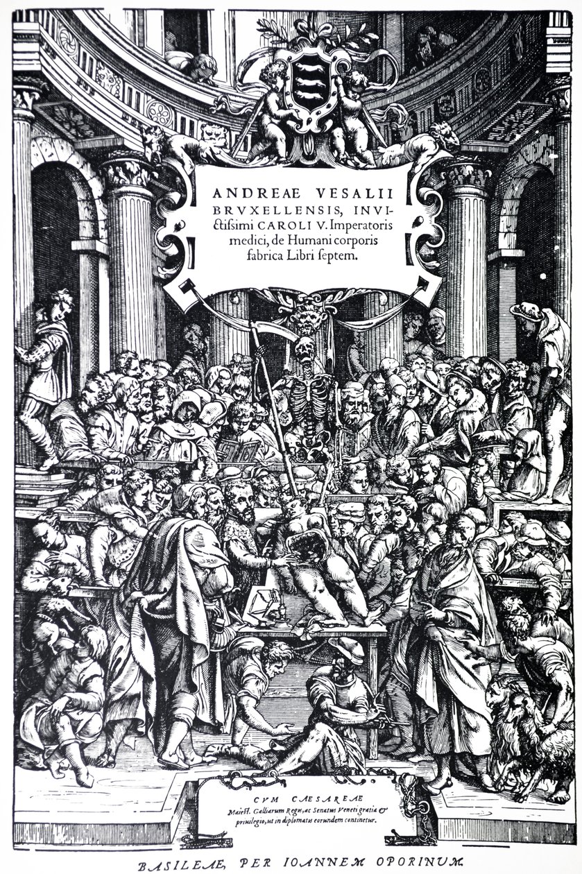 Címlap a De Humani Corporis Fabrica második kiadásához, 3. tábla, 1555 alkotó: Andreas Vesalius