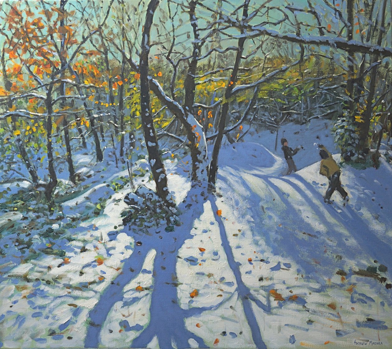 Allestree Park Woods, 2010. november alkotó: Andrew Macara