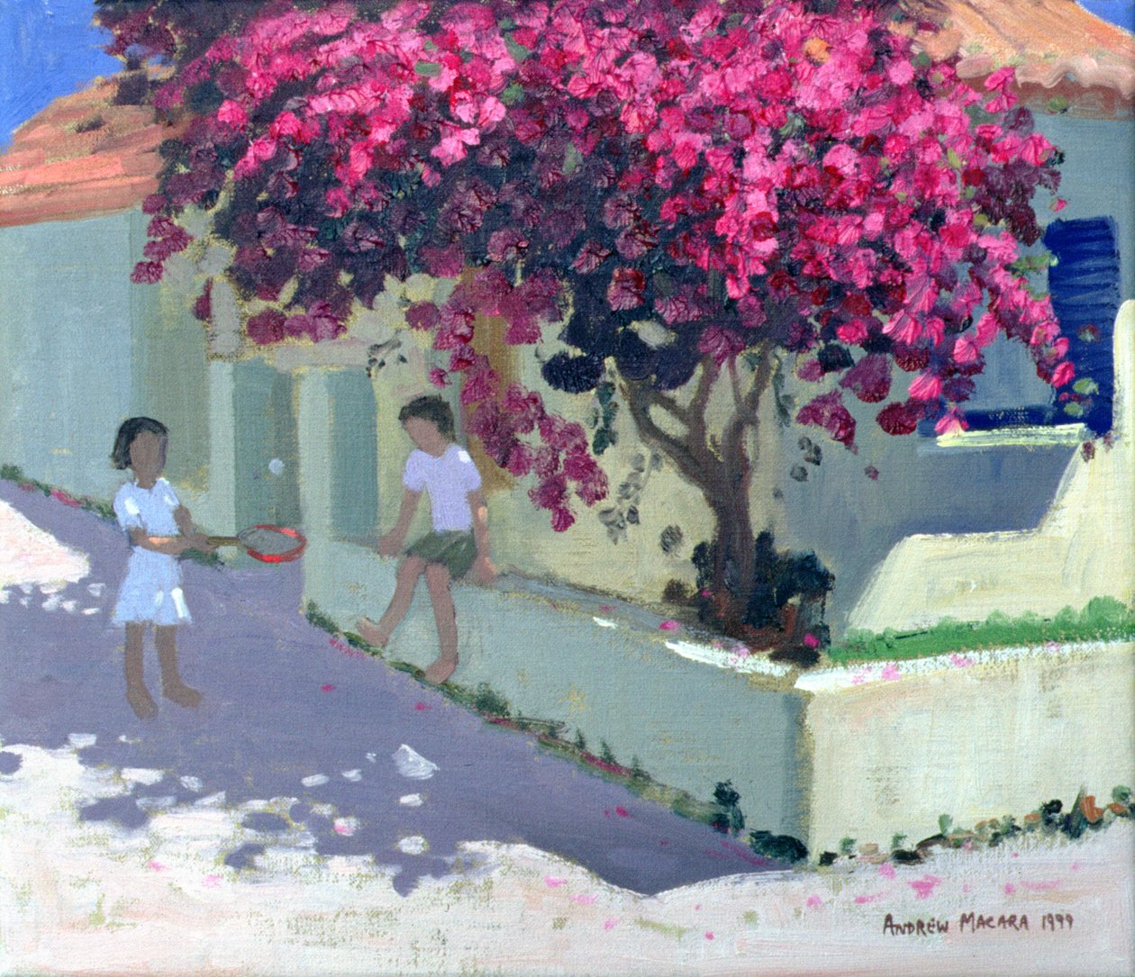 Bougainvillaea, Zakynthos, 1999 alkotó: Andrew Macara