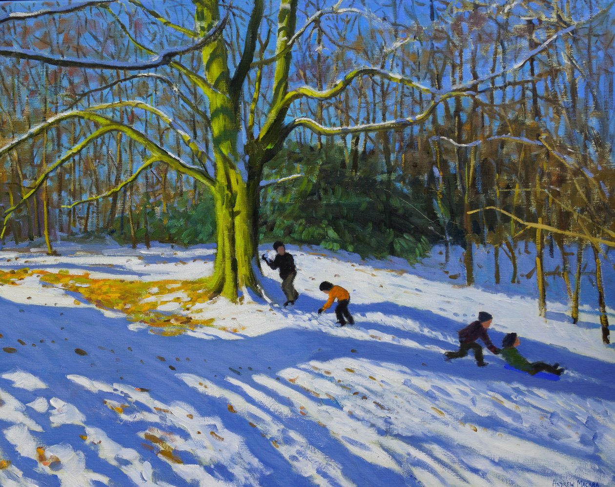 Részlet az Allestree Park tetejéről, 2014, olaj, vászon alkotó: Andrew Macara