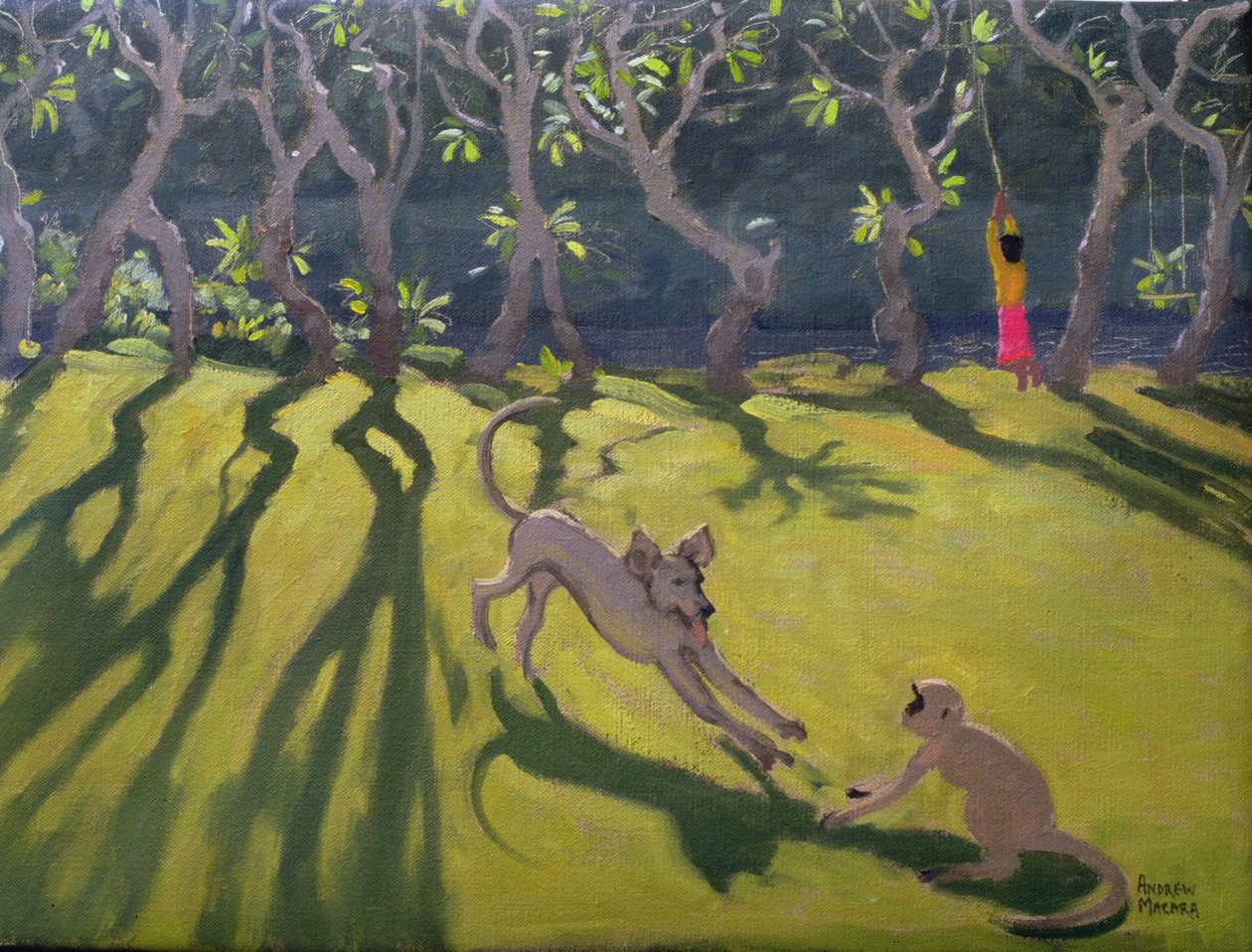Kutya és majom, Sri Lanka, 1998 alkotó: Andrew Macara