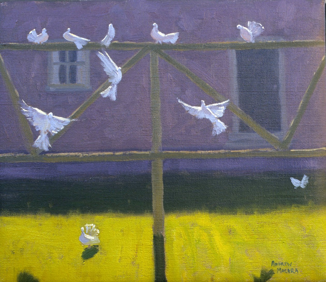 Galambok, 1999 alkotó: Andrew Macara