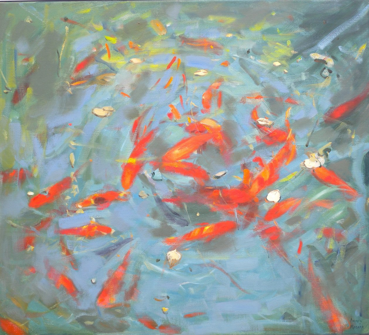 Aranyhal, 2010, alkotó: Andrew Macara