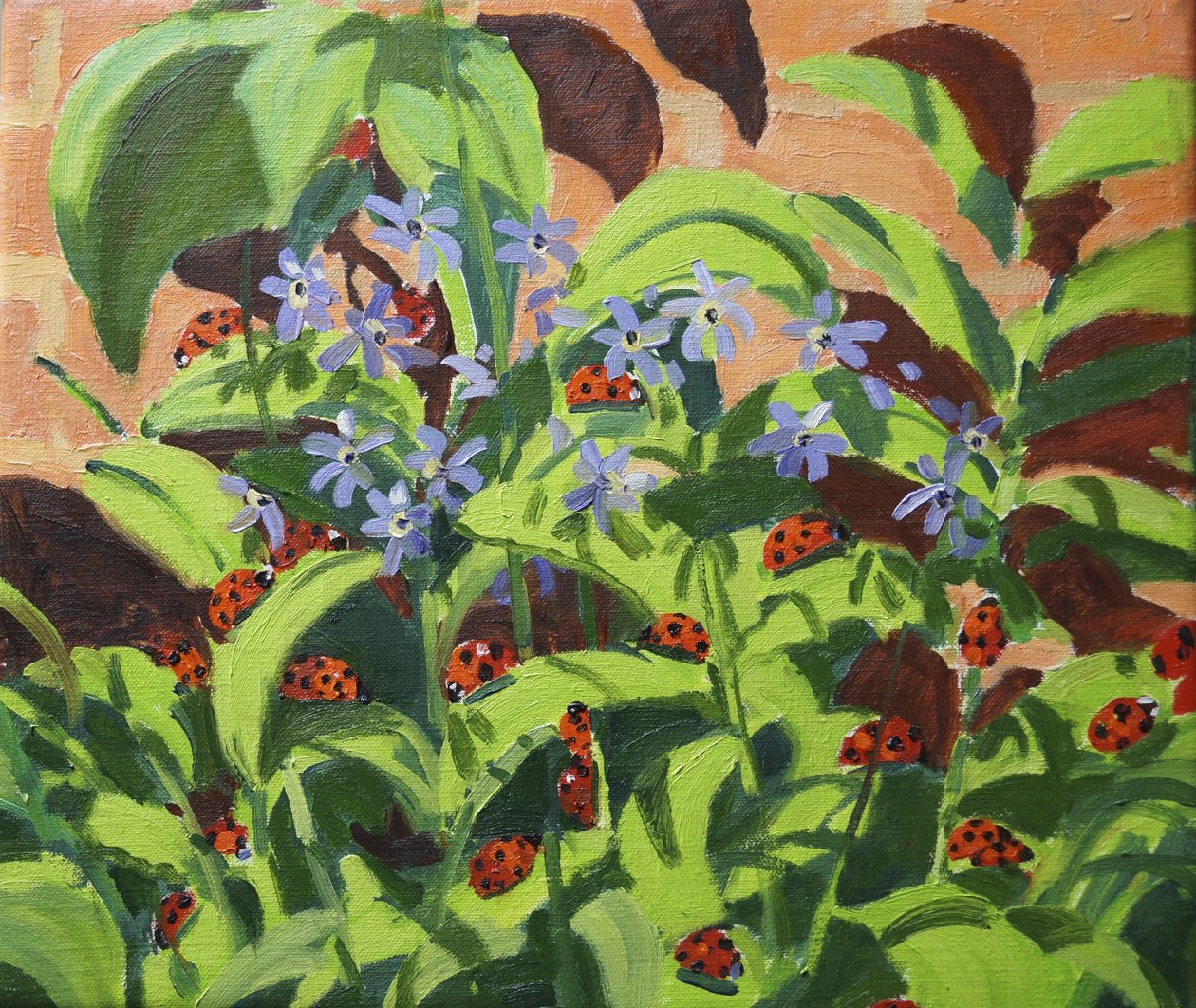 Ladybirds, 2013 alkotó: Andrew Macara
