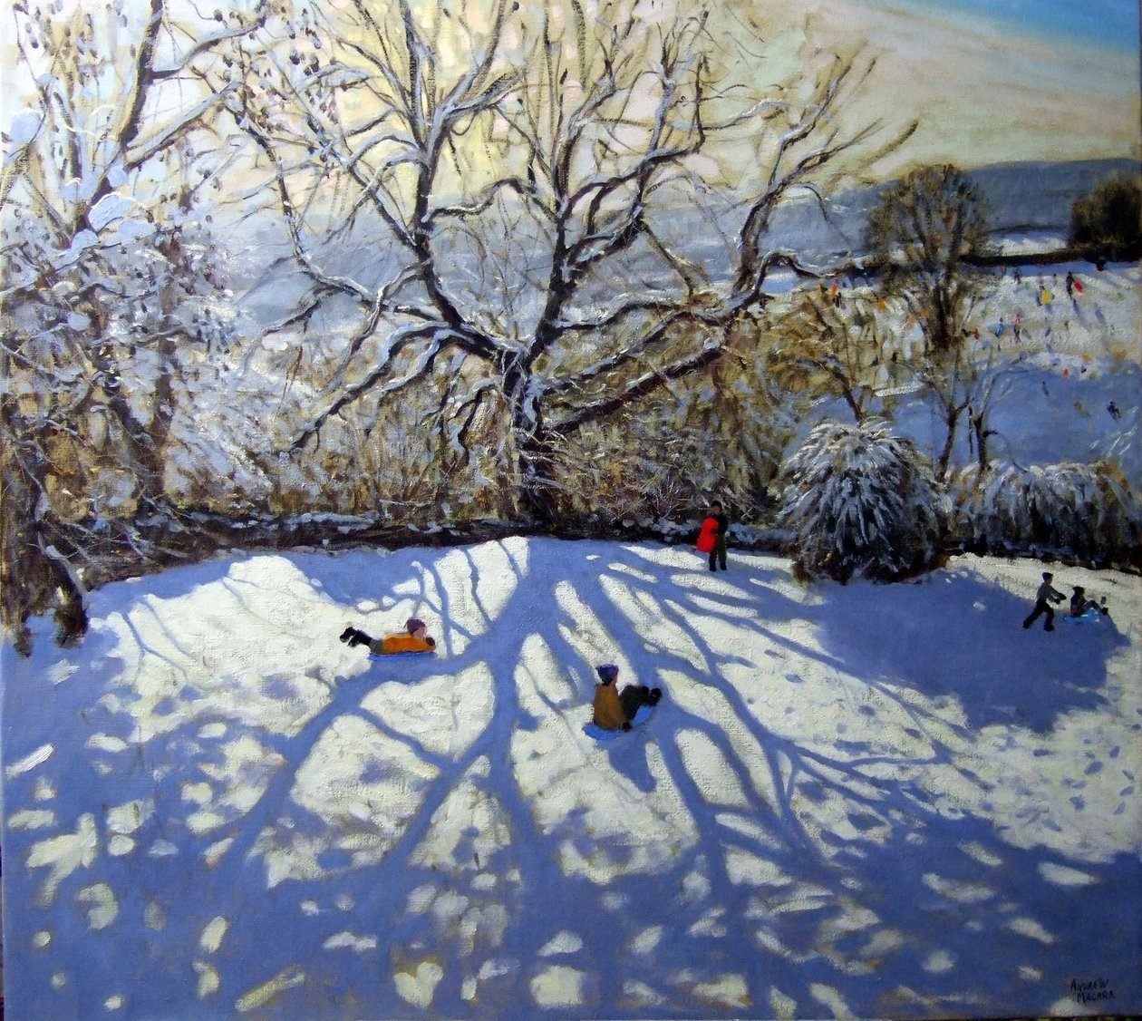 Nagy fa és szánkózók, Youlgreave, Derbyshire alkotó: Andrew Macara