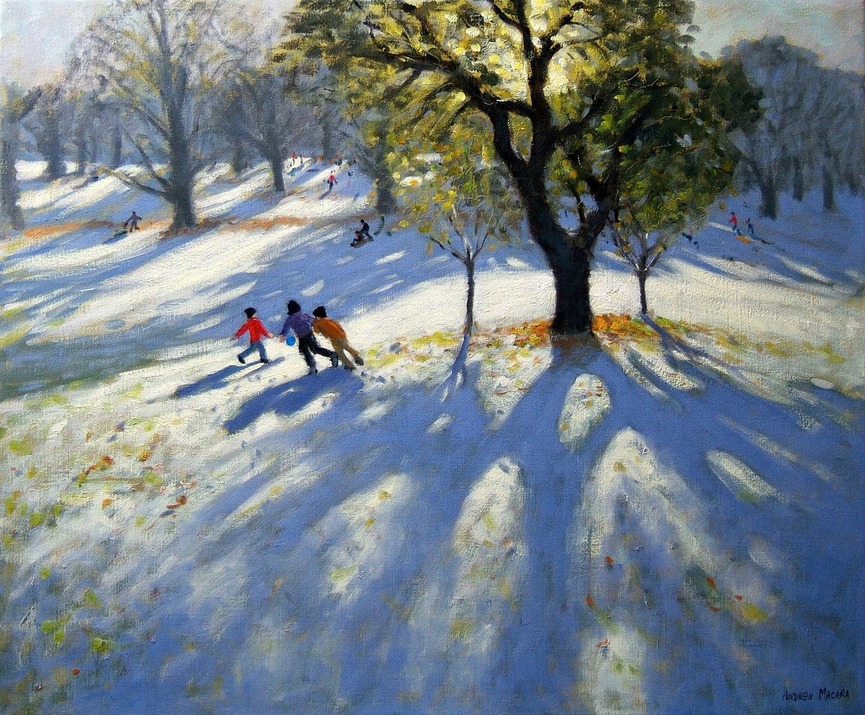 Markeaton Park, korai hó alkotó: Andrew Macara