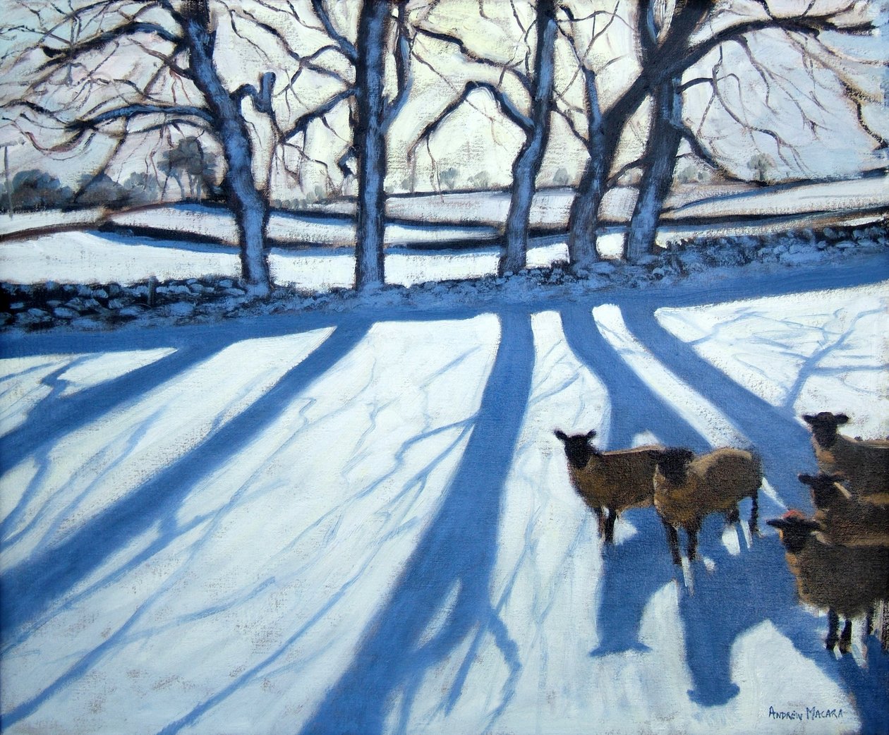 Birkák a hóban, Derbyshire alkotó: Andrew Macara