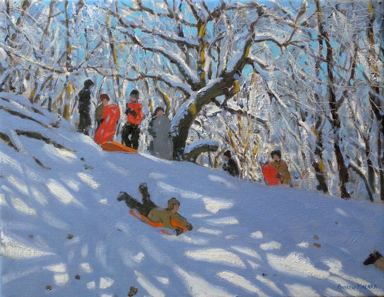 Szánkózás Allestree Woodsban, 2011 alkotó: Andrew Macara