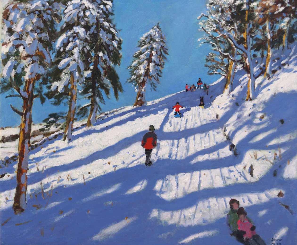 Szánkózás, Domboldal, Glossop, 2015, alkotó: Andrew Macara