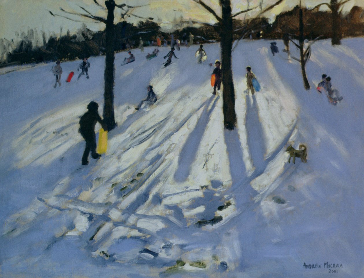 Snow, Rykneld Park, Derby, 2001 alkotó: Andrew Macara