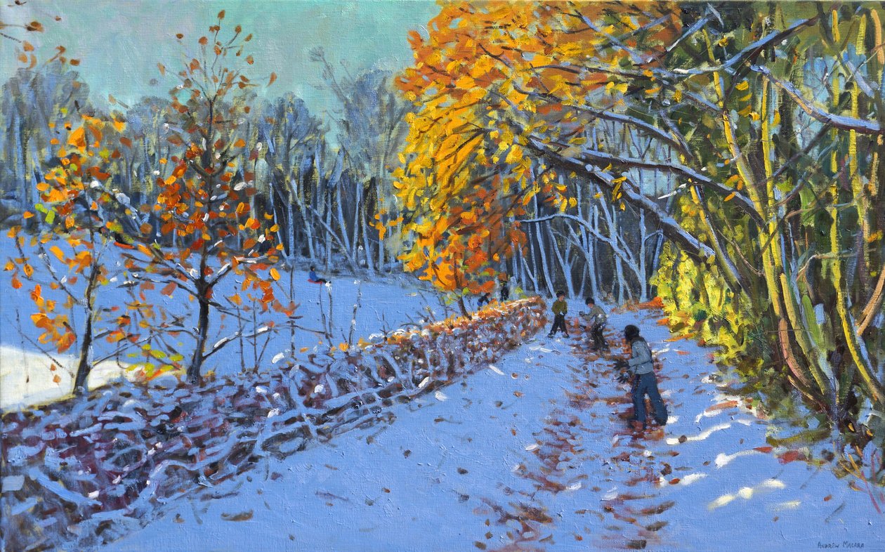 Hógolyózás, Allestree Park, Derby, 2014 alkotó: Andrew Macara
