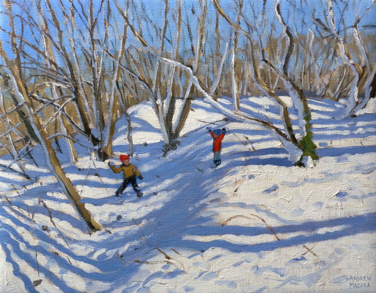 Spring Snow, Newhaven Derbyshire, 2008 alkotó: Andrew Macara