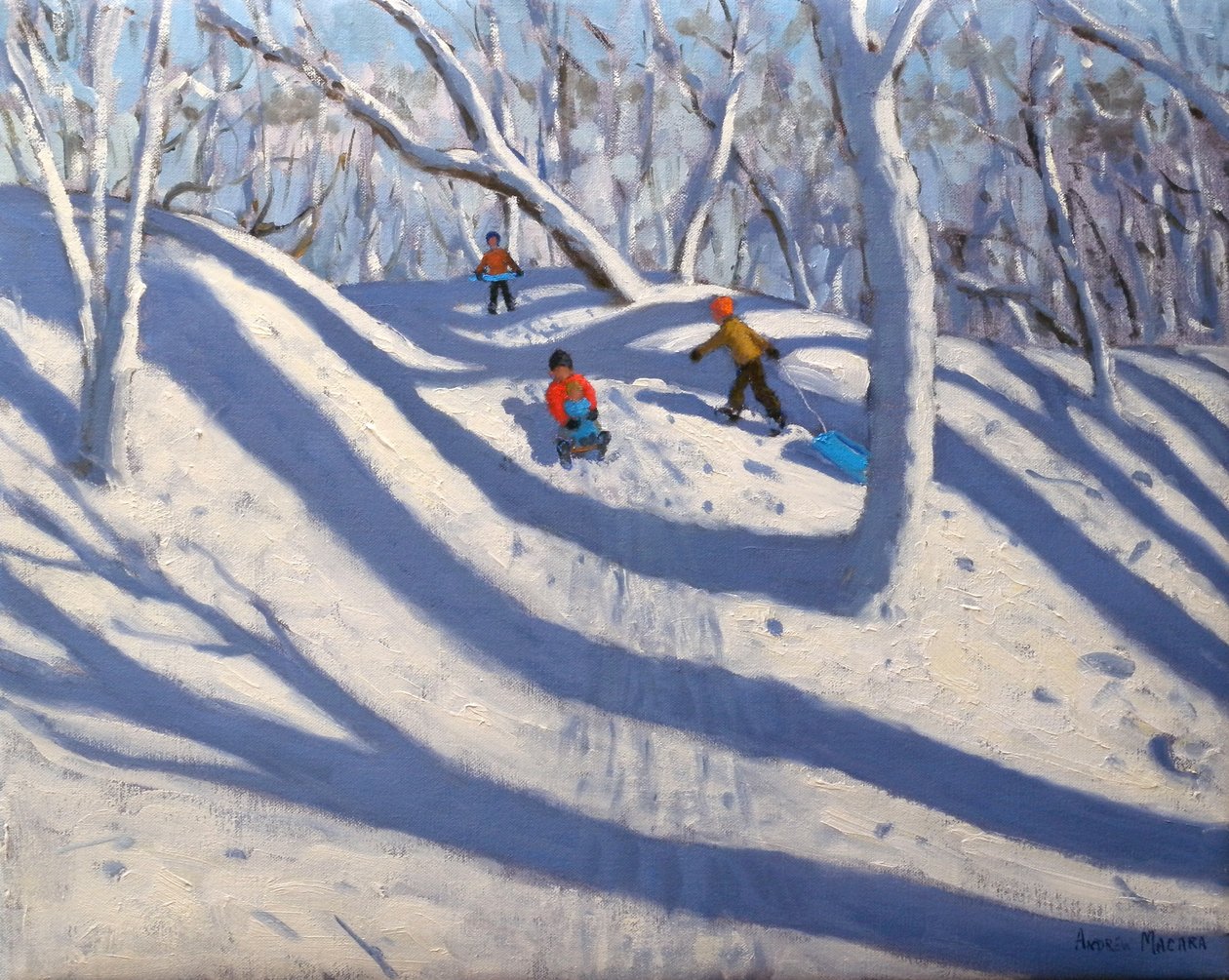 Winter Bramcote Nottingham, 2008 alkotó: Andrew Macara