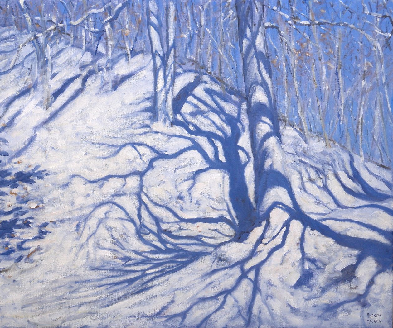 Winter Woodland, Courcheval közelében, 2008 alkotó: Andrew Macara