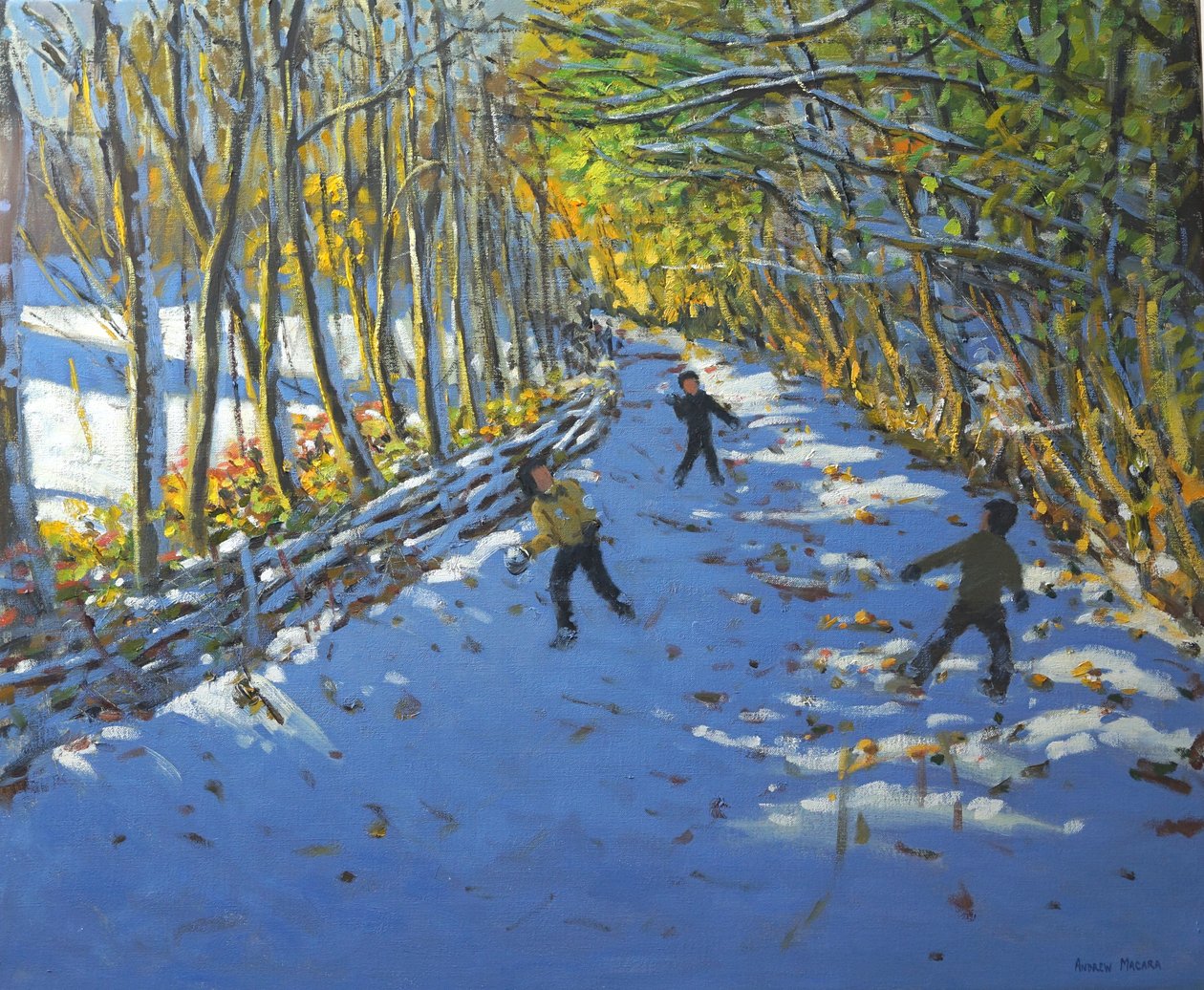 Sárga fák, Allestree Park, 2012 alkotó: Andrew Macara
