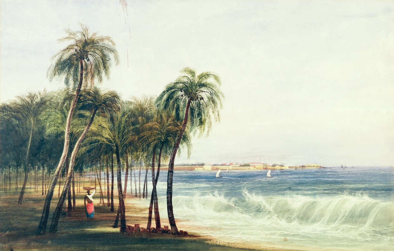 Kilátás Colombóra, Ceylonban alkotó: Andrew Nicholl
