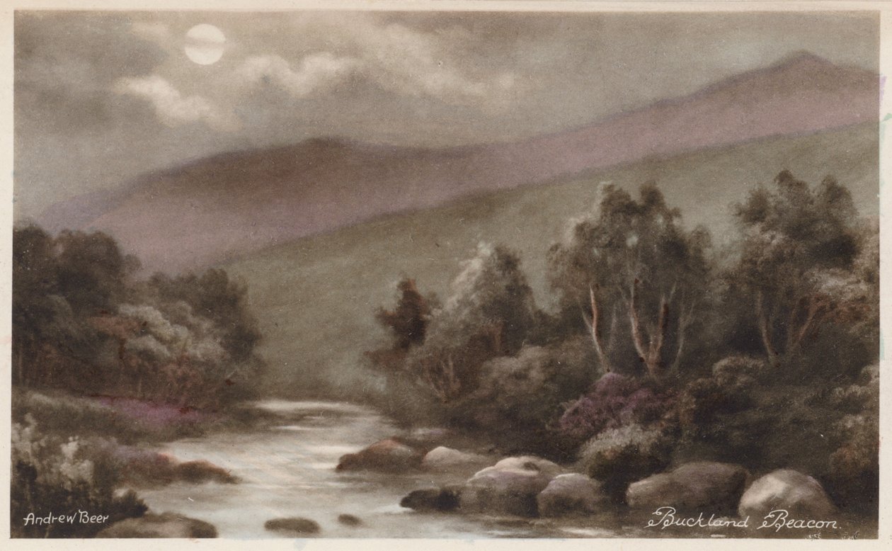 Dartmoor: Buckland Beacon (színes fotó) alkotó: Andrew Beer