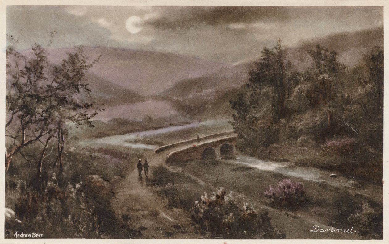 Dartmoor: Dartmeet (színes fotó) alkotó: Andrew Beer