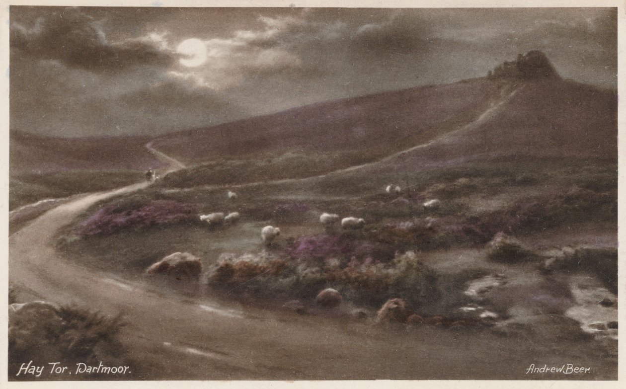 Hay Tor, Dartmoor (színes fotó) alkotó: Andrew Beer
