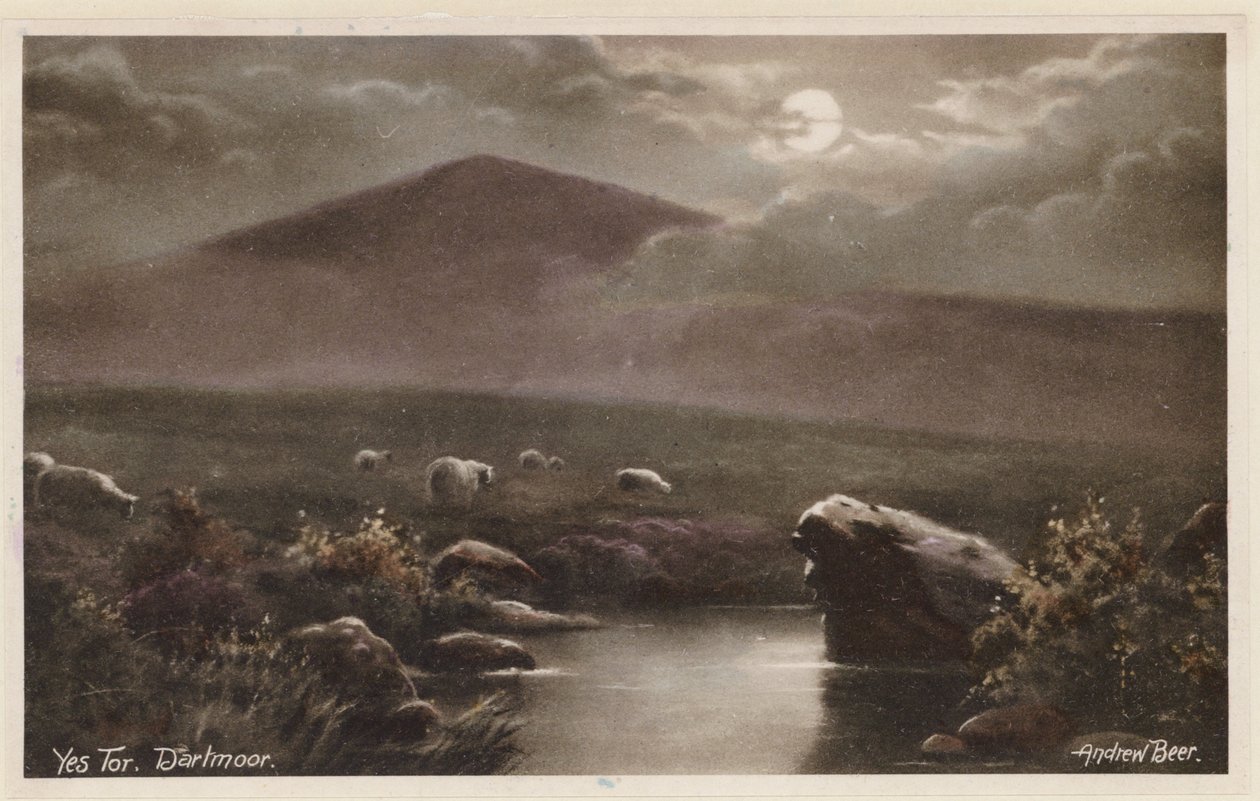 Yes Tor, Dartmoor (színes fotó) alkotó: Andrew Beer