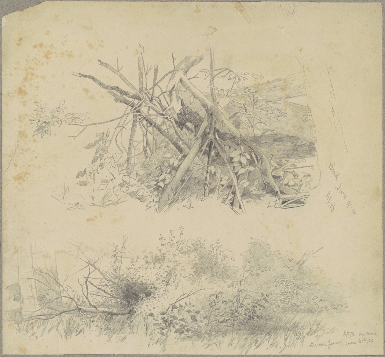 Kefe; és a Hudson Brush Fence alkotó: Andrew Fisher Bunner