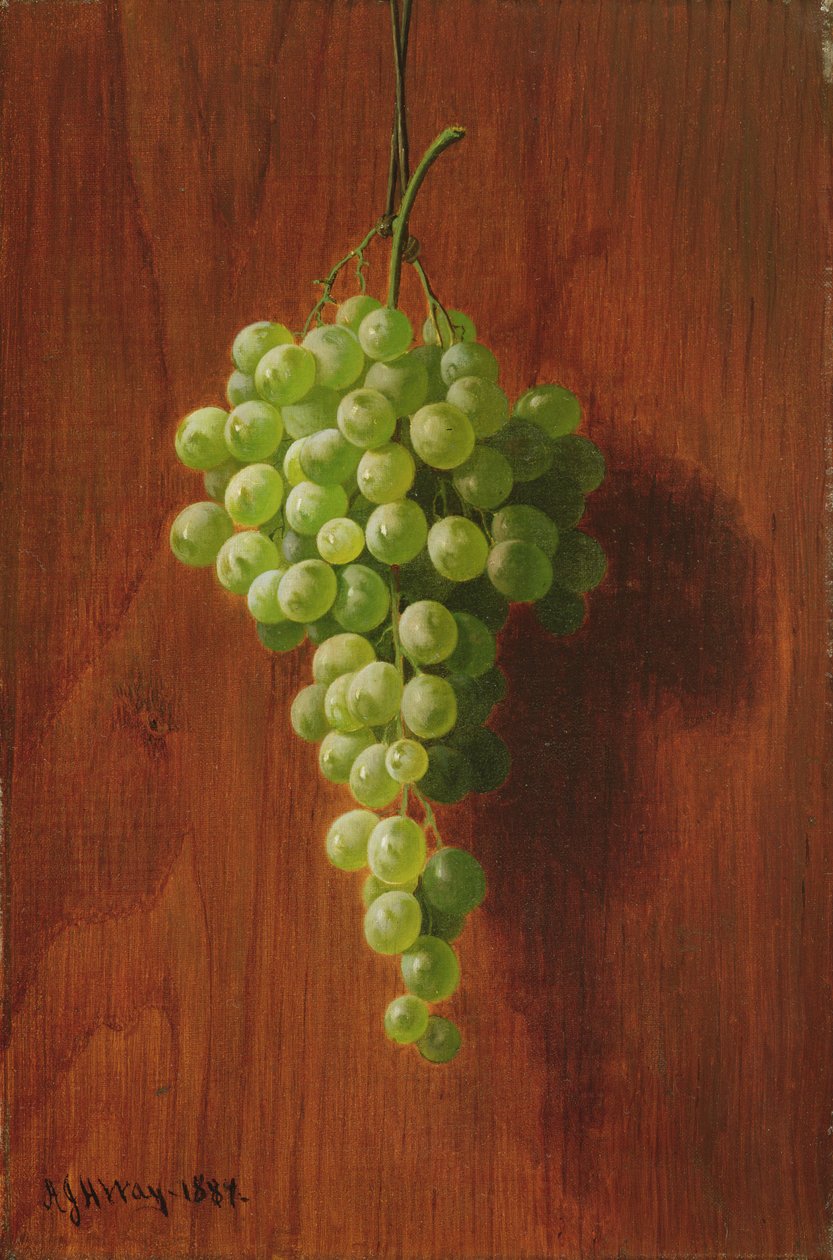 Szőlő (zöld), 1884 alkotó: Andrew John Henry Way