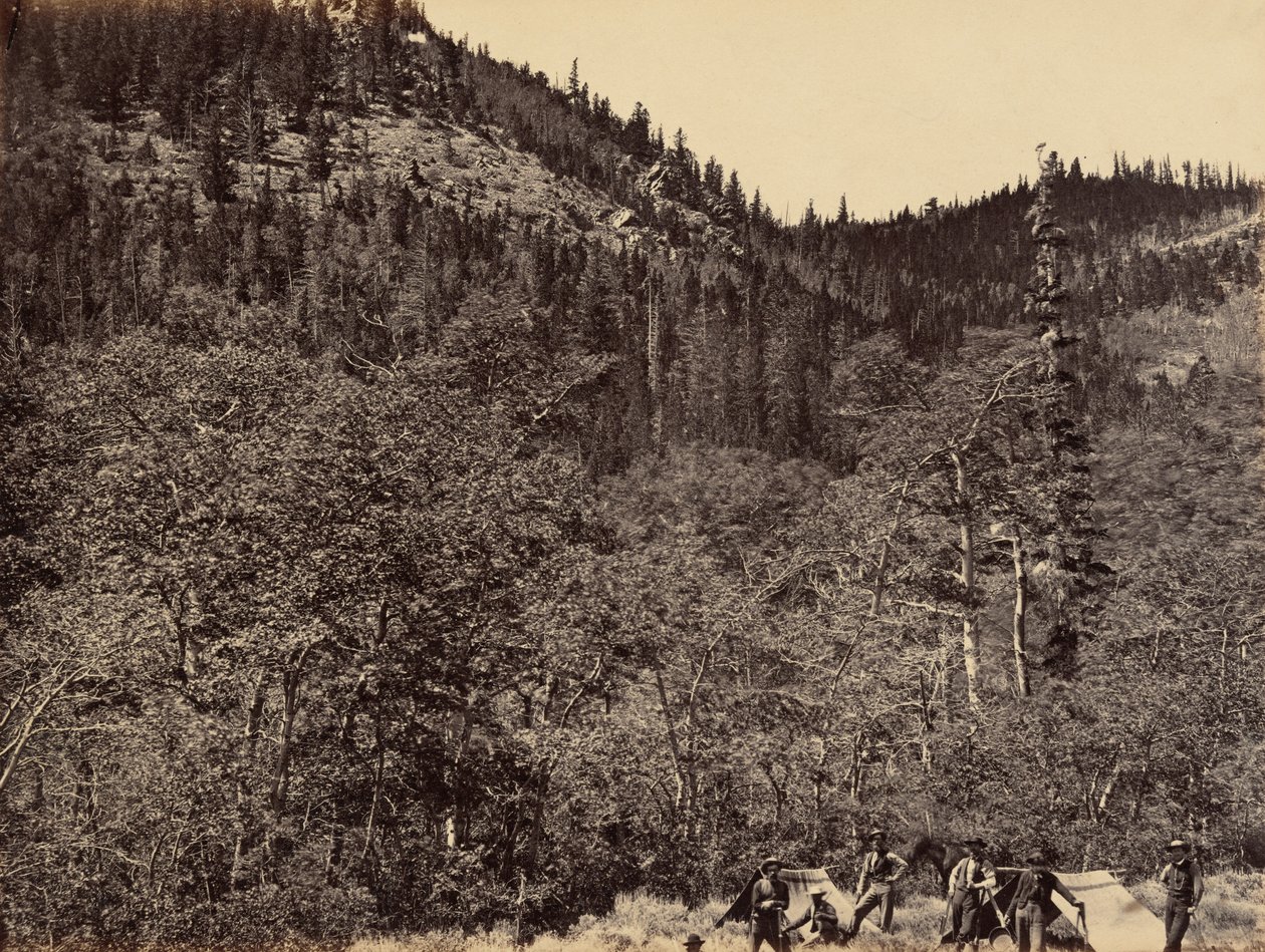 19. tábla. A fák között a Little Laramie folyó fejénél,1869 (fénykép) alkotó: Andrew Joseph Russell