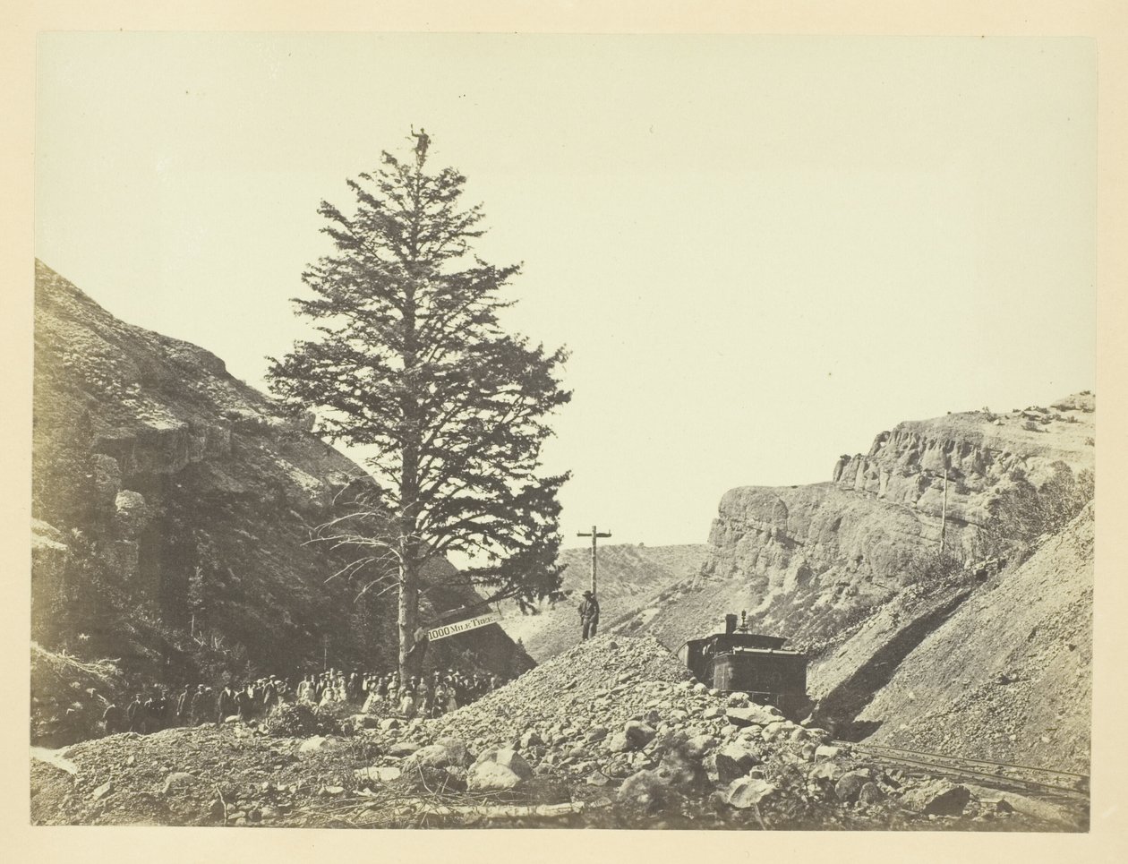 Thousand Mile Tree, Wilhelmina-hágó alkotó: Andrew Joseph Russell