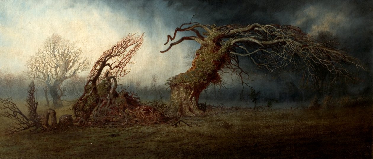 A felrobbantott fa alkotó: Andrew MacCallum